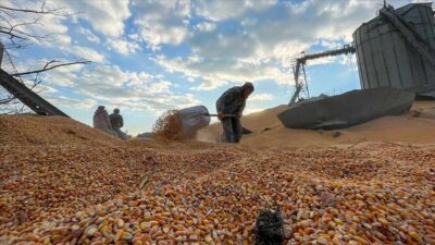 Nurdağı’nda deprem nedeniyle mısır ve buğday siloları da hasar gördü