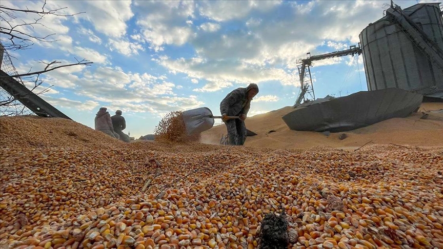 Nurdağı’nda deprem nedeniyle mısır ve buğday siloları da hasar gördü