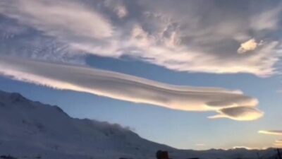 Bursa’da da görülmüştü! Adres bu kez Van