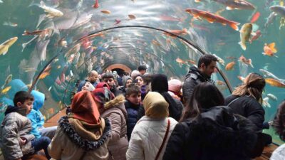 Yıldırım Belediyesi sömestr tatili boyunca tünel akvaryumu ücretsiz yaptı, 10