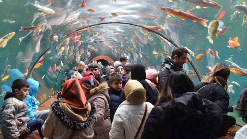 Yıldırım Belediyesi sömestr tatili boyunca tünel akvaryumu ücretsiz yaptı, 10