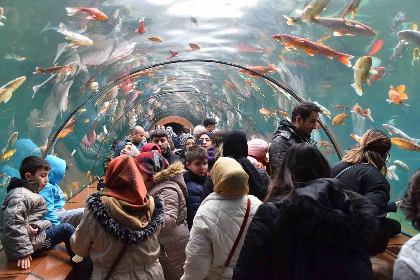 yildirimda tunel akvaryumu 10 gunde 40 bin kisi ziyaret etti 90d88e4