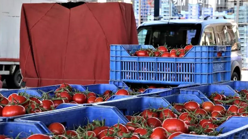 Domates, salata, biber… Antalya Hali’nde bahar hareketliliği! Fiyatlar yüzde 50 düştü