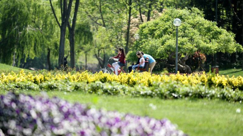 Uzman isim açıkladı! Gelecek hafta…