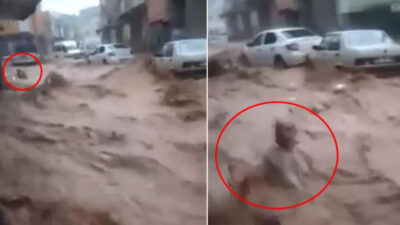 Selde sürüklenen Reşat amcadan haber var! Her şey bitti derken…