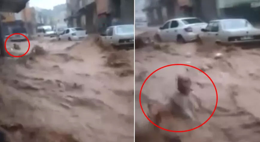 Selde sürüklenen Reşat amcadan haber var! Her şey bitti derken…