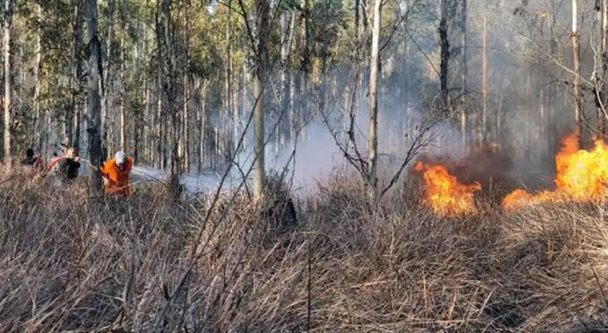 Mersin’de orman yangını Mersin’de orman yangını