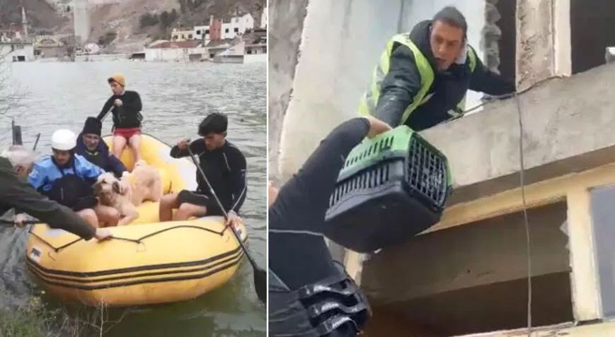 Baraj suları her yeri kapladı! Sokak hayvanları bot ile kurtarıldı