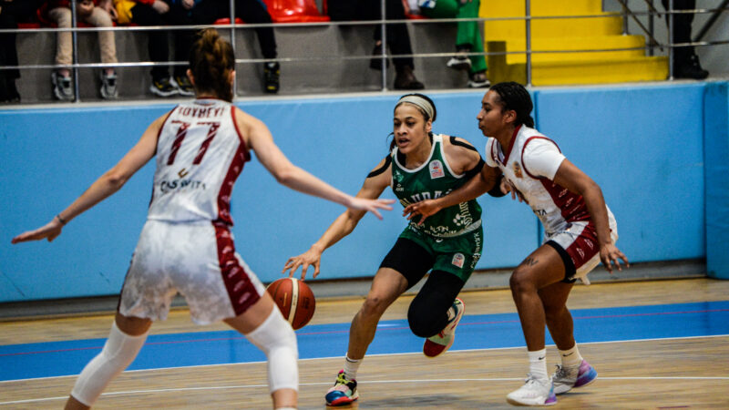 Uludağ’ın Perileri deplasmanda galip ING Kadınlar Basketbol Süper Ligi'nin 21. haftasında Bursa Uludağ Basketbol,
