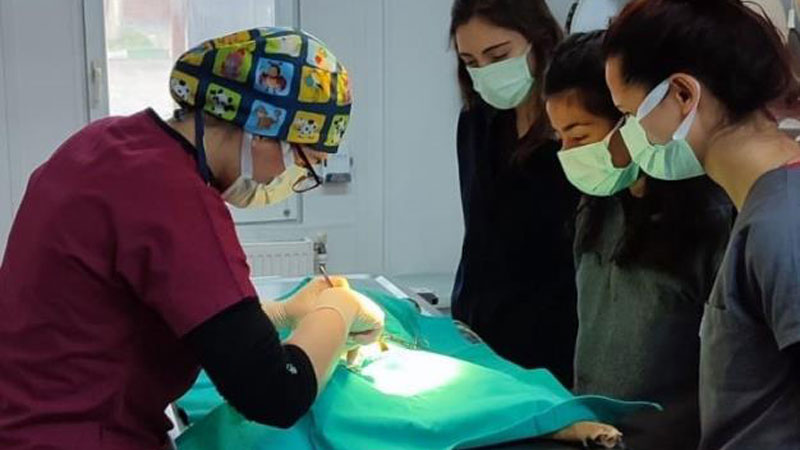 Uludağ Üniversitesi Veteriner fakültesi öğrencilerine uygulamalı eğitim Uludağ Üniversitesi Veteriner fakültesi öğrencilerine uygulamalı eğitim