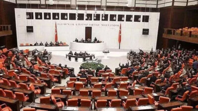 5 OHAL kararnamesi, Meclis’te