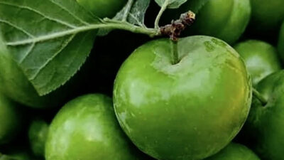 Fiyatını görenlerin dudağı uçukladı! Adeta gram altına rakip…