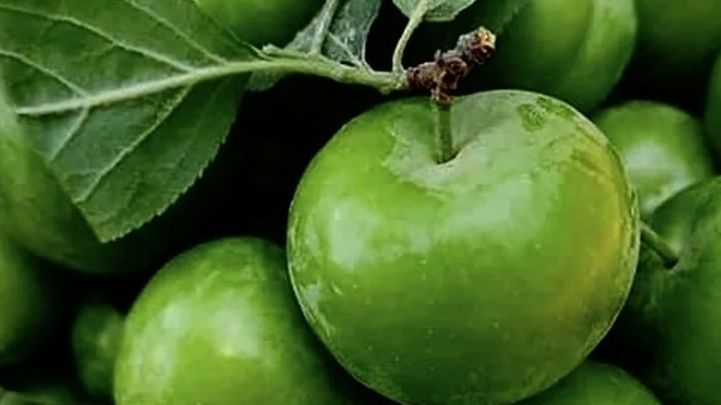 Fiyatını görenlerin dudağı uçukladı! Adeta gram altına rakip…