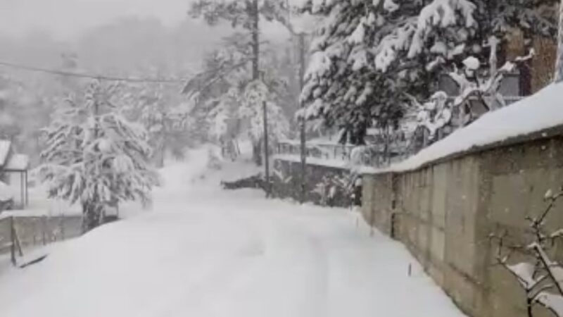 Bursa’nın dağ köyleri kar altına kaldı Bursa’da gece saatlerinden itibaren etkisini gösteren kar yağışı sonrası, dağ