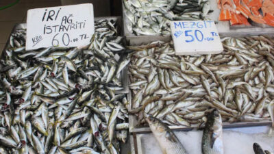 Balık sezonunda sona yaklaşıldı, tezgahlar mezgit ve istavrite kaldı