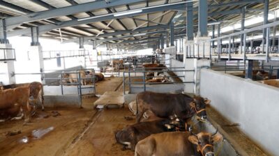 İnegöl Hayvan Pazarı 23 Mart’a kadar kapatıldı