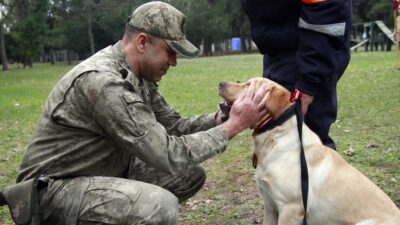 TSK’nın arama köpekleri 78 kişiyi kurtardı; ‘sessiz kahramanlar’ madalya ile ödüllendirildi