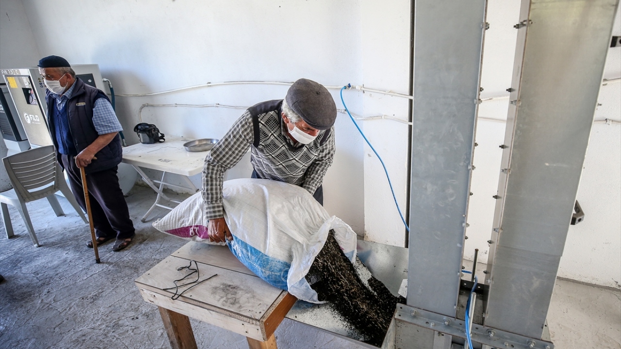 Bursa’nın bu köyünde doğan dünyanın tanıdığı marka!