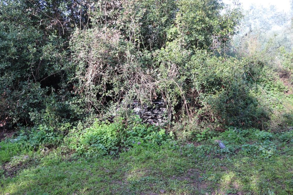 Yer: Bursa… Çalılıkların arasında bulundu Yer: Bursa… Çalılıkların arasında bulundu