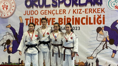 Tatamide Osmangazi başarısı