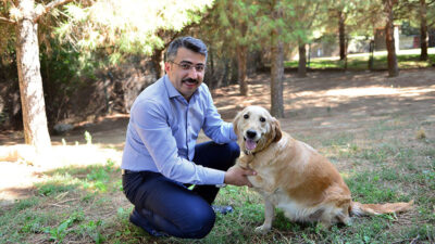 Yıldırım’da can dostlara şefkat eli