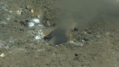 ABD’de kırmızı alarm! 965 kilometrelik fay hattı her an kırılabilir