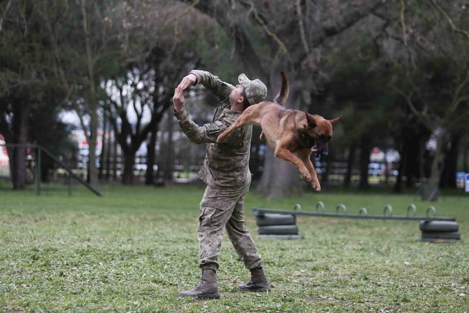 Bursa’da ‘askerin can yoldaşları’ böyle eğitiliyor! Nefes kesen görüntüler