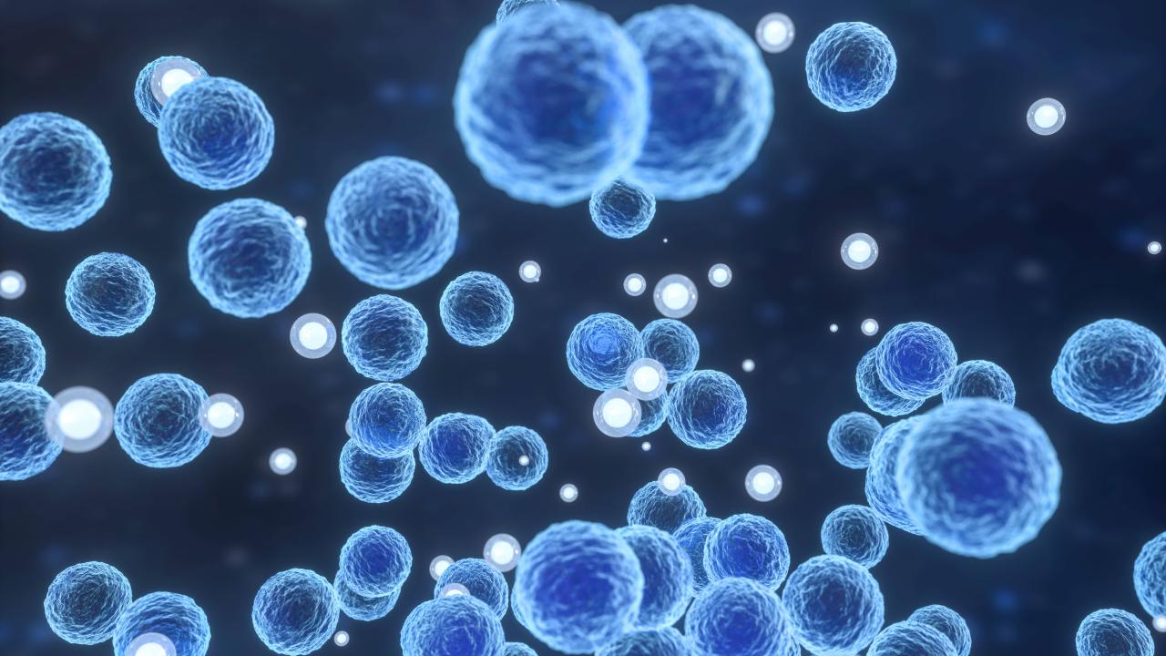 İşte dünyayı bekleyen bir sonraki tehlike