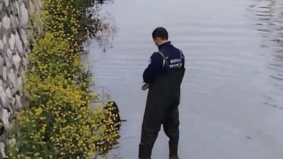 Bursa’da dereye düşen köpeğin imdadına itfaiye yetişti