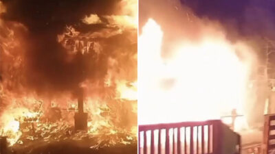 Bursa’da çiftlikte yangın! Çok sayıda tavuk telef oldu