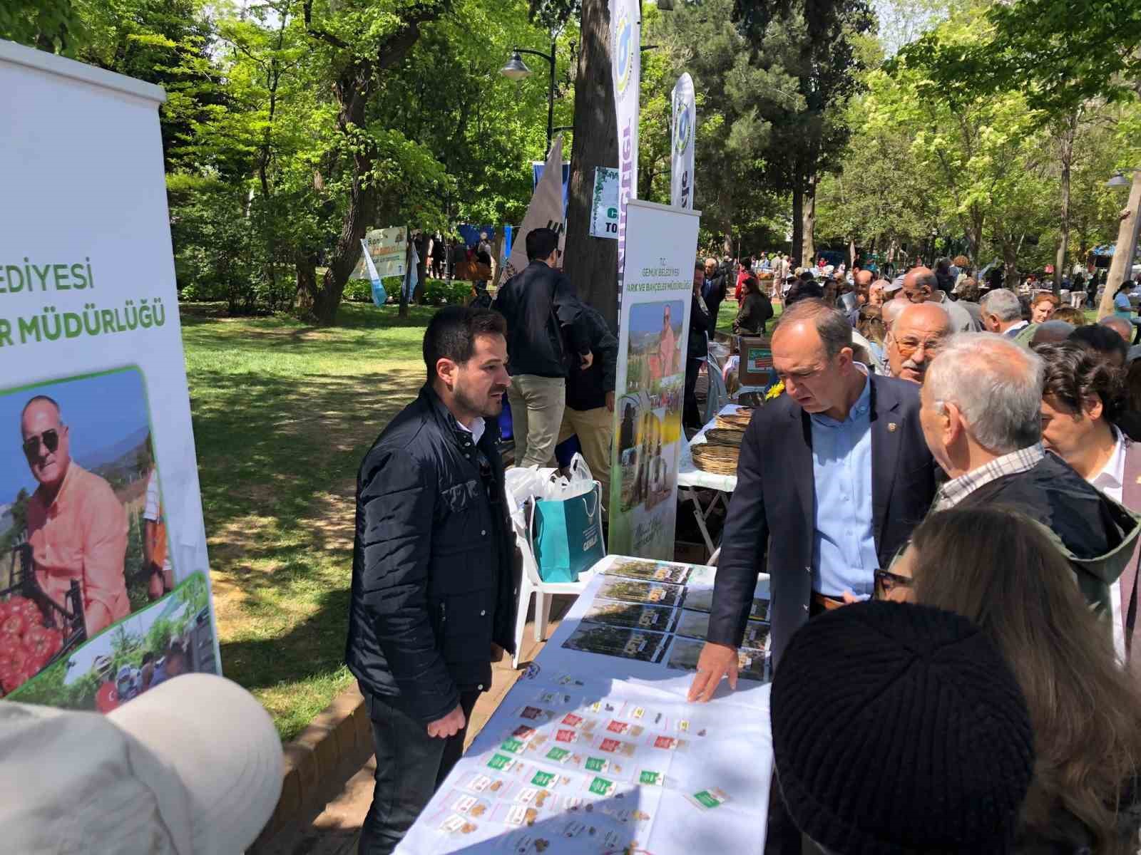 Gemlik’in tohumları Çanakkale’de