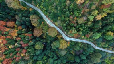 Ormanlara hafriyat dökenlere verilen cezalar artırılıyor