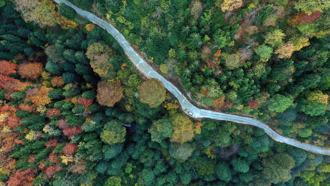 Ormanlara hafriyat dökenlere verilen cezalar artırılıyor