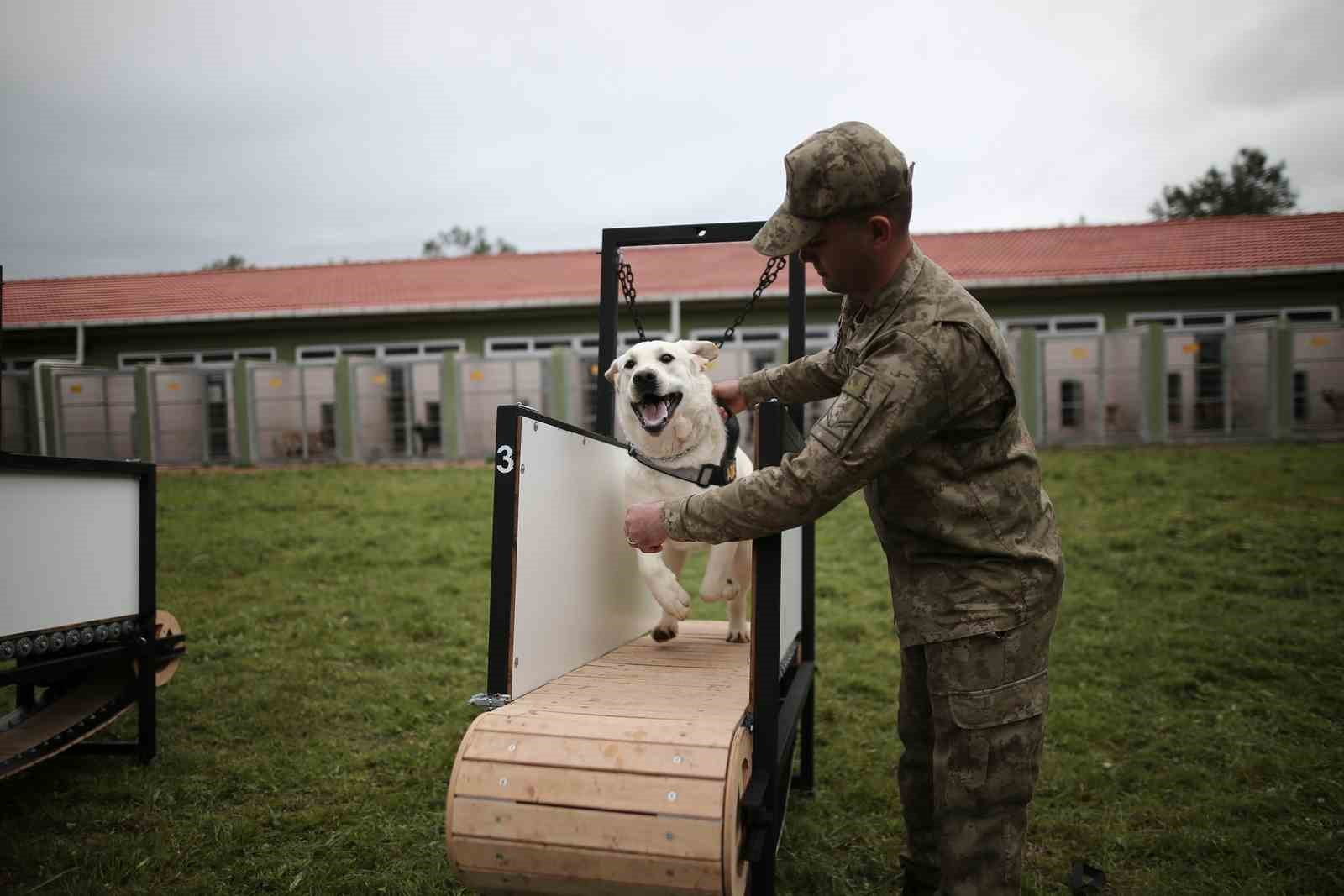 Depremin kahramanları! Bursa’da böyle yetiştiriliyorlar