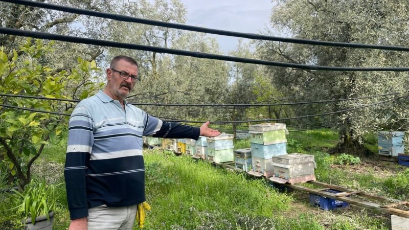 Bursa’da ‘kovan’ hırsızlığı Bursa’nın İznik ilçesinde zeytin bahçelerindeki bal kovanlarına dadanan hırsızlar içi
