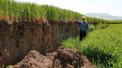 2 metreyi bulan çökmeler çiftçileri zorluyor
