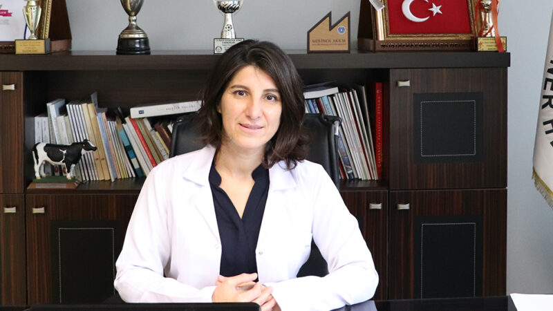Bursa Veteriner Hekimler Odası Başkanı Uysal’dan açıklama Bursa Veteriner Hekimler Odası Başkanı Melike Baysal, ‘Dünya Veteriner Hekimler