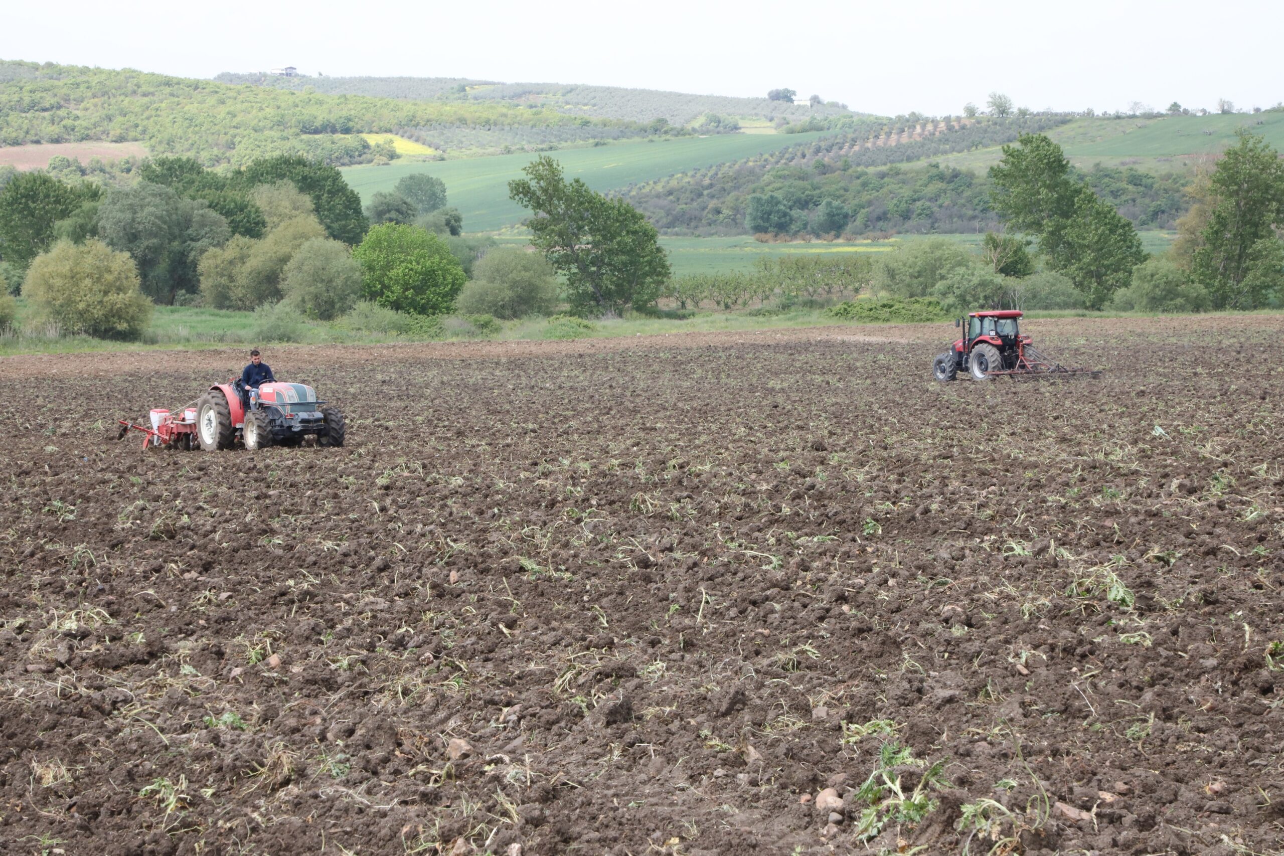 Mudanya’da ayçiçeği ve buğday tohumları toprakla buluşuyor Mudanya’da ayçiçeği ve buğday tohumları toprakla buluşuyor