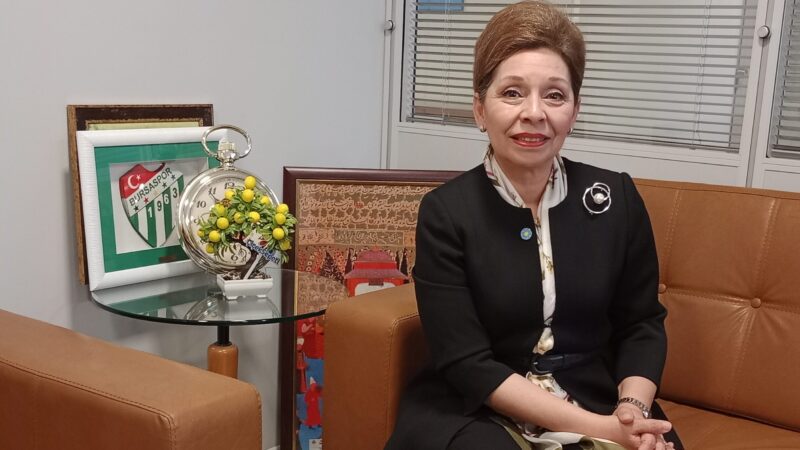 Olay Gazetesi Yazarı Ahmet Emin Yılmaz, İYİ Parti Bursa 1.