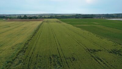 Bahar yağmurları yaradı! Trakya kuraklık haritasından çıktı