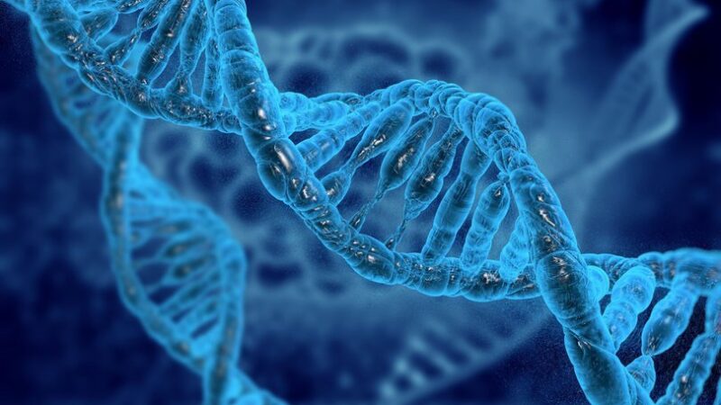 Ayak izi veya nefesten insan DNA’sı tespit edilebiliyor ABD'de bilim insanları, DNA örneklerinin, insanın yıkandığı sudan, havaya karışan