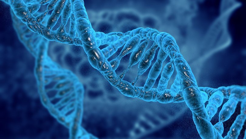 Ayak izi veya nefesten insan DNA’sı tespit edilebiliyor