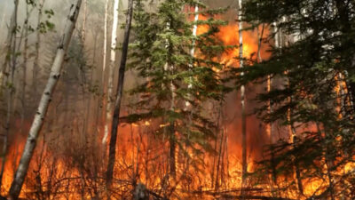 Kanada’da orman yangını: 21 bin kişiye tahliye uyarısı