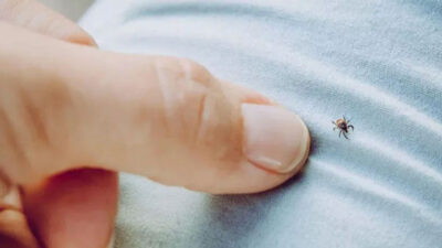 Yeniden hortladı! Yılın ilk ölümü gerçekleşti