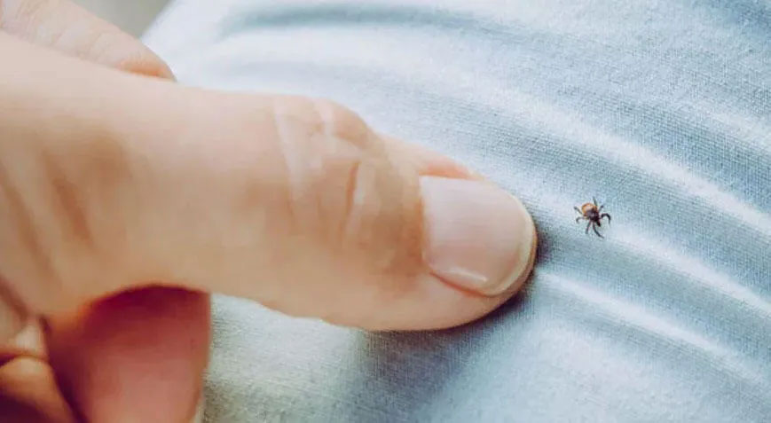 Yeniden hortladı! Yılın ilk ölümü gerçekleşti Yeniden hortladı! Yılın ilk ölümü gerçekleşti