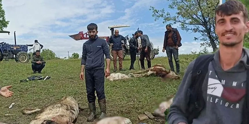 Diyarbakır’da yıldırım düştü, 5 inek öldü! Çoban ağır yaralı
