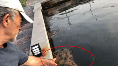 İzmir’de endişelendiren görüntü! Uyarı geldi: ‘Şu anda görünen belirtileri önlem alınmazsa…’