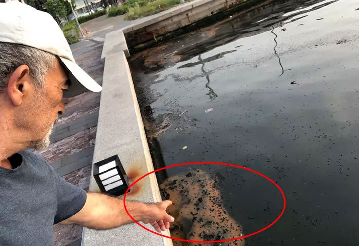 İzmir’de endişelendiren görüntü! Uyarı geldi: ‘Şu anda görünen belirtileri önlem alınmazsa…’