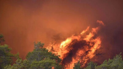 Marmaris’te yanan alanlar yeşillenmeye başladı