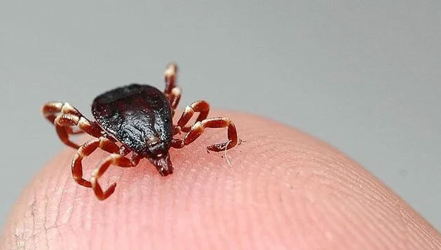 Sivas’ta KKKA tedavisi gören kişi hayatını kaybetti